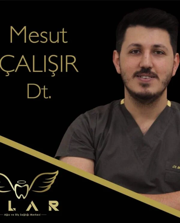 Dr. Mesut Çalışır